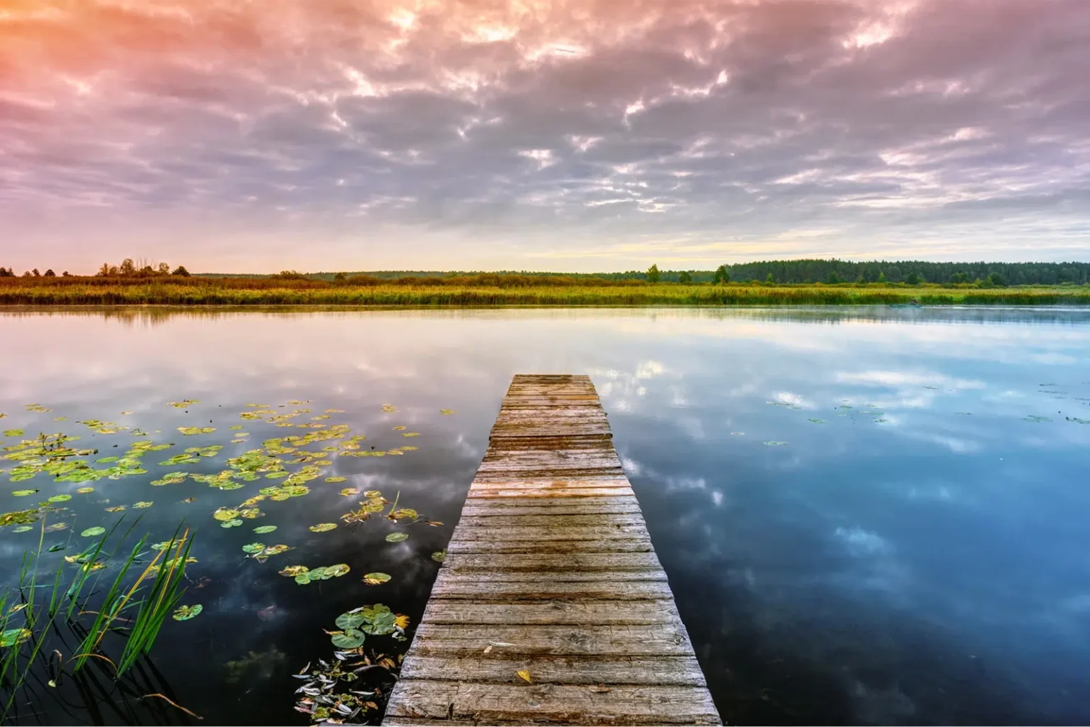 A woody jetty reaches out over a calm lake - Social Media For NDIS Providers - NDIS Provider Marketing