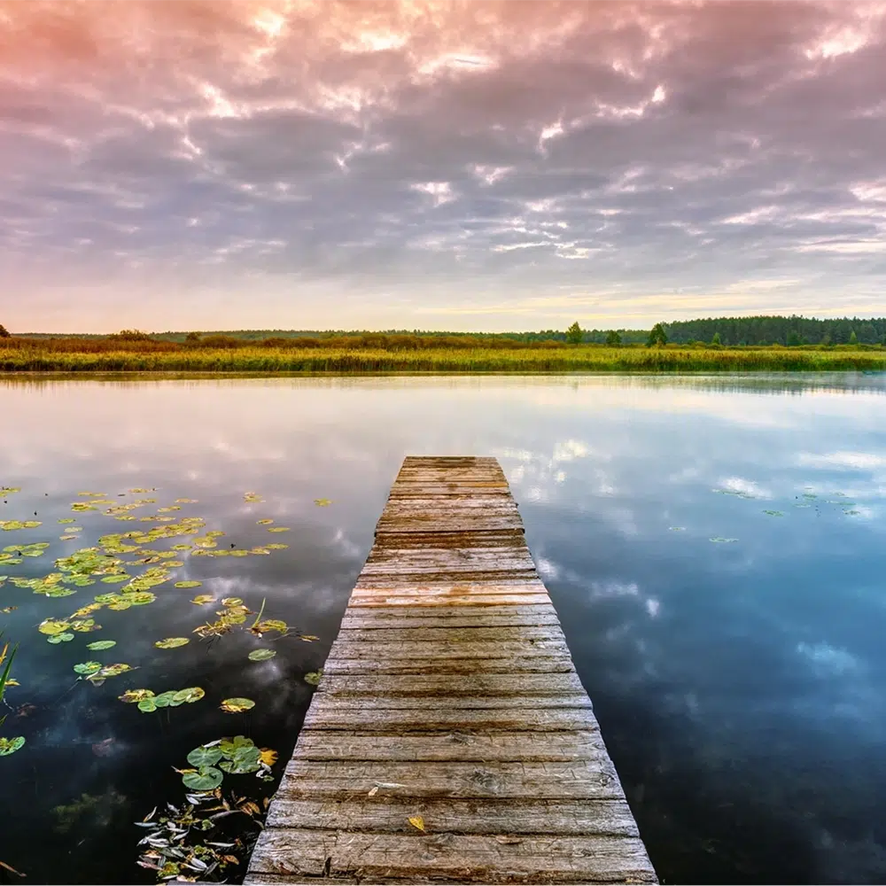 A woody jetty reaches out over a calm lake - Social Media For NDIS Providers - NDIS Provider Marketing