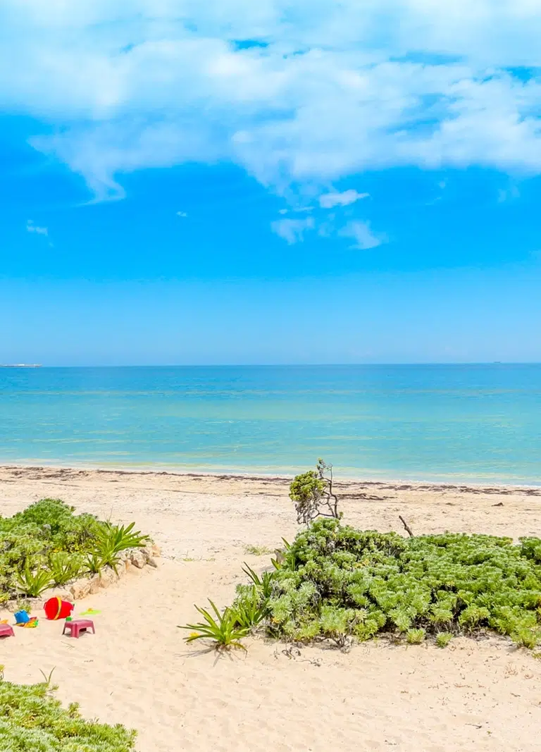 A beach with inviting, calm blue sea and sky - Business Consulting For NDIS Providers - NDIS Provider Marketing